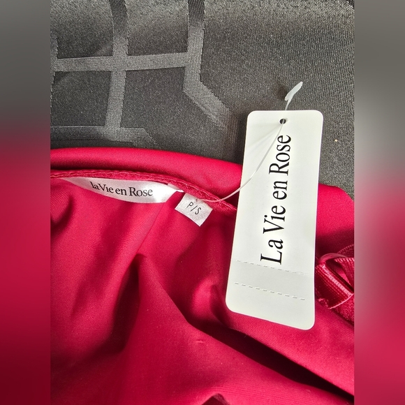 Elegant Lace Trim Chemise in Red - Picture 3 of 3